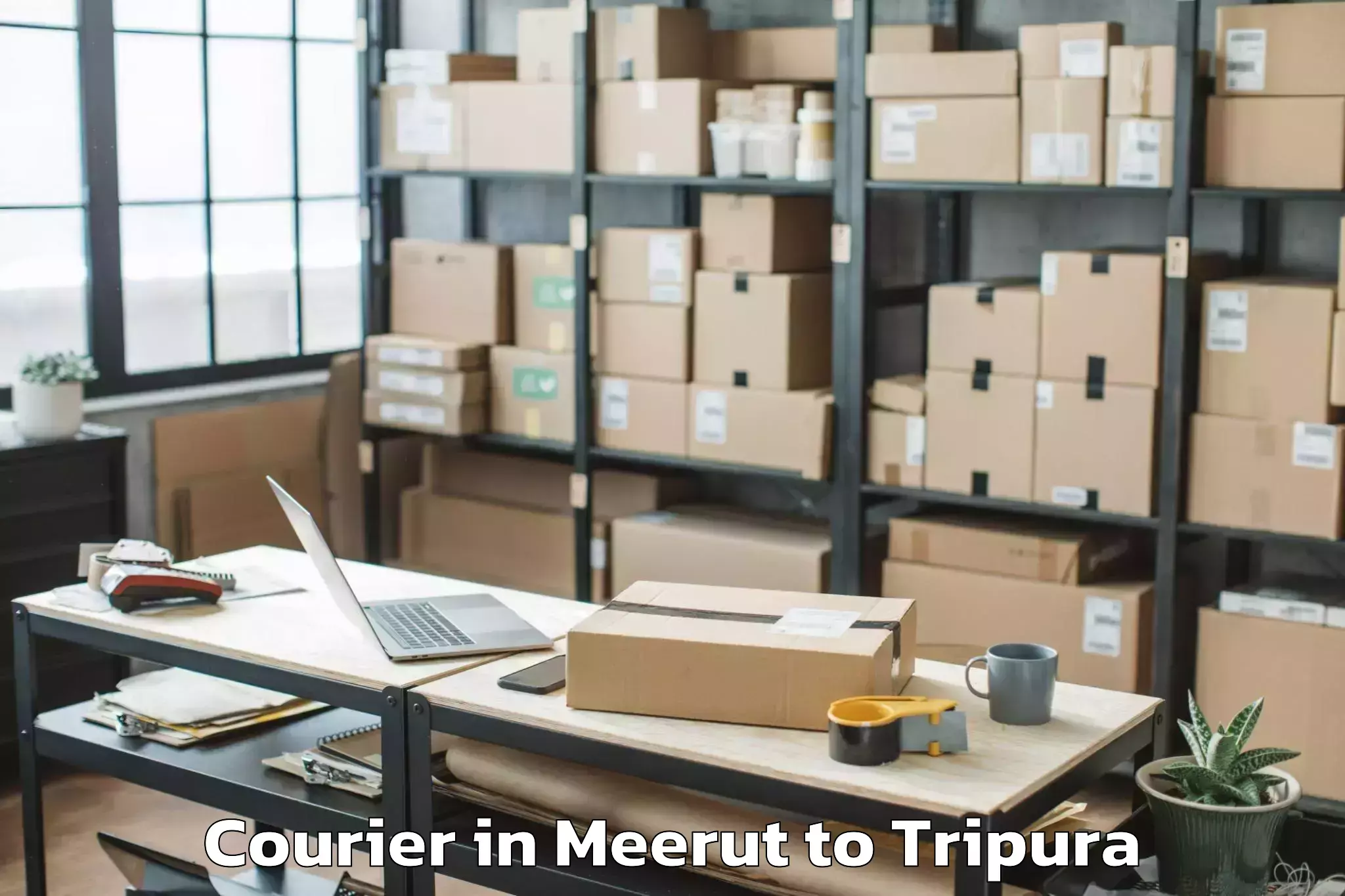 Professional Meerut to Ambassa Courier